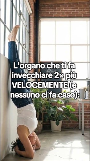 Il pancreas – l'organo chiave della longevità