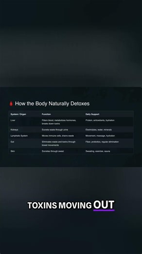 Unlock Your Body's Daily Detox: Filtration, Repair, Renewal #shorts