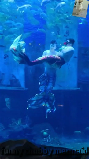 Funny chubby mermaid #foryou #funny #chubby #mermaid Funny chubby mermaid #foryou #funny #chubby #me