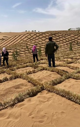 Transforming China's Deserts Through Green Construction