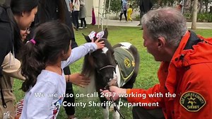 33 reactions | Help our tiny horse angels bring HOPE and COMFORT to those in need. | Mini Therapy Horses | Facebook