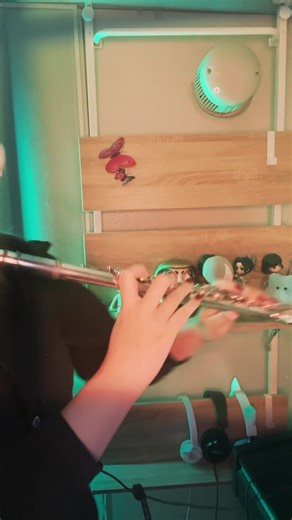 綺麗な曲ー！ #flute #cover #音声効果チャレンジ