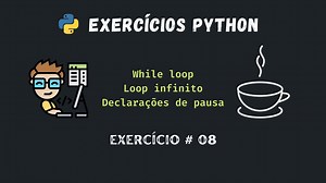 Python exercício 08 - While loop, Loop infinito e Declarações de pausa