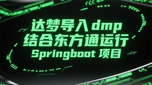 达梦导入 dmp 结合东方通运行 Springboot 项目