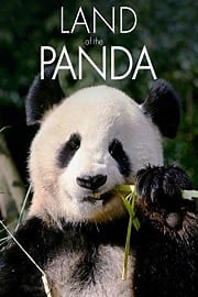 Land of the Panda