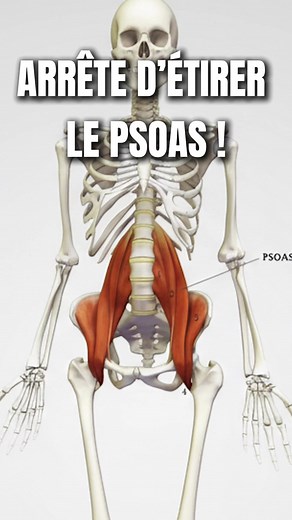 Renforcez votre psoas pour soulager la douleur lombaire