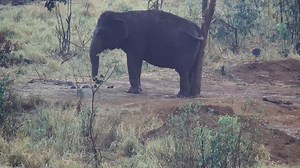 24K views · 4.3K reactions | We recently talked about the dry season...