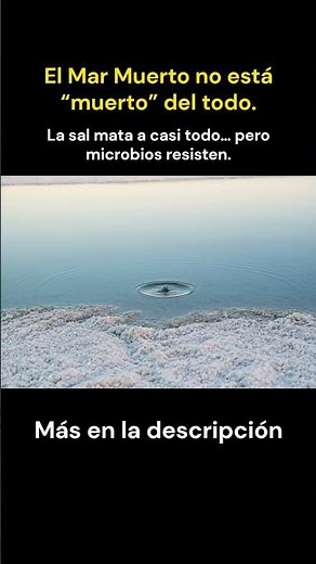 El Mar Muerto no está “muerto” del todo