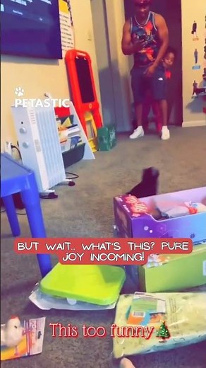 Girl Surprised With Dog Has the Funniest Reaction Ever