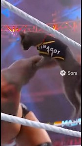 Margot fighting for the tag team championship in WWE 🤣💪🏻😎 | Margot The Russian Blue Cat