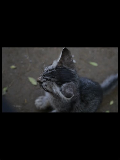 Teaching on spiritual freedom, deliverance, and discipleship through Jesus Christ. The Liberatus Project Youtube:https://www.youtube.com/@LiberatusProject Your Field, Your Altar, Your Answer order here: https://a.co/d/gJhOwOG Download Podcasts Here: https://www.spreaker.com/podcast/the-liberatus-project--6068337 Follow us on Facebook at:https://www.facebook.com/liberatus26 Most of us don’t realize that God has already begun to move long before we ever think to ask Him to. We look for signs, for 