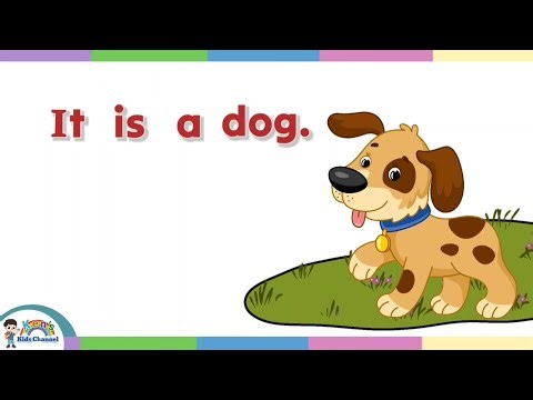 Practice Reading Simple Sentences and Stories | Nursery and Kindergarten Reading Practice 