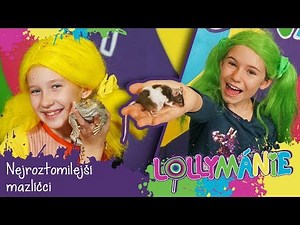 LOLLYMÁNIE - Nejroztomilejší mazlíčci!💛