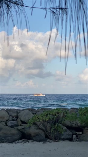 hamu (@hammu.u)’s videos with The Quiet Life - Housman