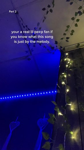 lil peep 4L (srry havent posted in some time) #lilpeep🖤 #fyp #viral #vent #lilpeep