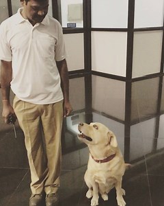 496K views · 43 reactions | Meet Jacky! He is a trained sniffer dog working with the CISF. Although he does real serious work at his job but he melted my heart being equally adorable♥️♥️ | Shreya Ghoshal | Facebook