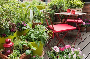 Balcony Plants That'll Dress Up Your Space