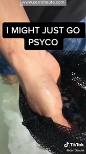 A message from Skeptoid Podcast: [https://buff.ly/3lNgZq0] | The Credible Hulk