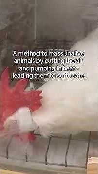 🚨TELL THE AVMA: STOP THE CRUELTY.🚨