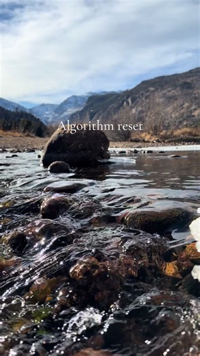 Let this help reset your algorithm. Take a deep breath to calm your nervous system