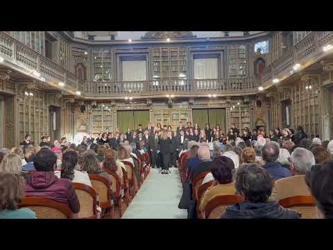 VU Daemon Irrepit Callidus Concert 3