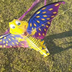 57 reactions · 4 comments | A shout out to @travismoet who was wondering how to get our Toon Dragon Kite started!  Hoping it all turned out to be ok at the end 蘭 #flattenthecurve #dragon #tuesday #tuesdaytips #kite #kiteflying #covid19 #staycation #stayinghome #outdoors #fun #family #familyfun | X Kites | Facebook