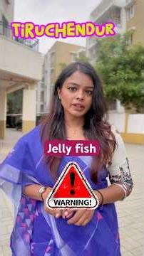 Tiruchendur warning about jelly fish - First aid