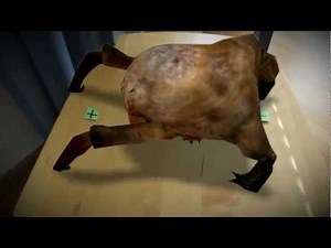 Half-Life 2 : Headcrab In Real Life !