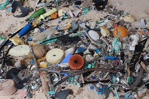 This Pacific island is the most plastic-polluted place on Earth | Earth | EarthSky