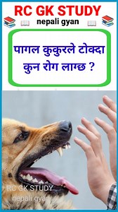 General knowledge quiz | science | samanya gyan question answer | #quiz | RC GK STUDY - nepali gyan