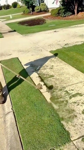 Lawn Edging With String Trimmer Creates Clean Sidewalk Lines
