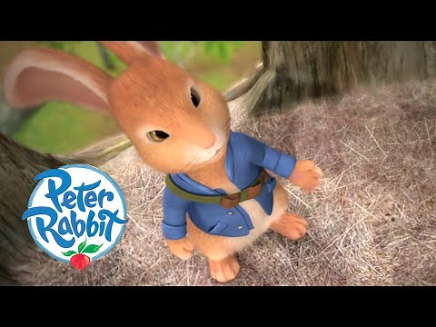 Peter Rabbit - Finders Keepers | High-Flying Adventures! | Cartoons for Kids