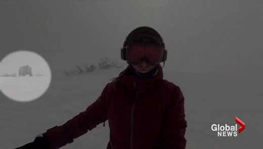 Is a snowboarder’s bear chase video real?