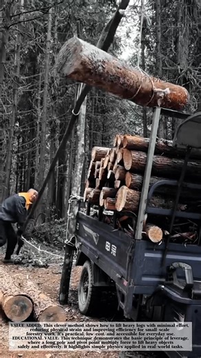 Smart Log Lifting Trick Using Simple Leverage in the Forest!#shorts