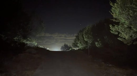 Walking up the driveway tonight. Those are winter moths and not ufo’ or UAP’s | Phillip Coomer