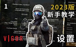 【主机独占 | Vigor】2023版新手教学 第一期：设置详解