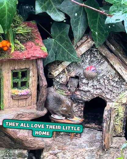 Such a cute thing to have in the garden ❤️ | Furry Tails