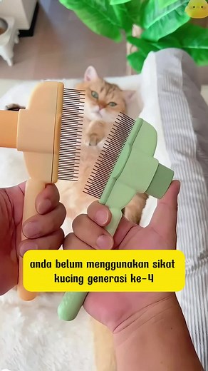 Such an easy-to-use cat comb, arrange one for the cat at home quickly.#kitty #pet #catsoftiktok #meow #cat