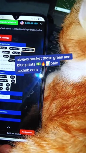 always make sure you trade to withdraw pale tzxhub.com🔥📊📈📉#Tzx #deriv #Tzxhub