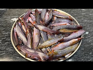 सिंघीं मछली कैसे बनाए बिल्कुल सही तरीके से | Singhi Machali Recipe