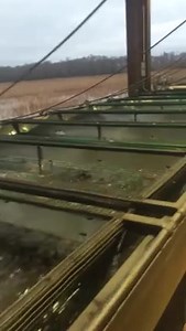 19K views · 1.2K reactions | We Have PURGED CRAWFISH!! Our Farm...