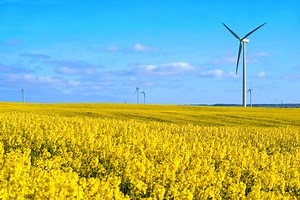 禾大可持续发展-可持续原料供应商  | Croda