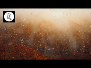 🌈 Autumn Forest Rain for Sleeping 4K