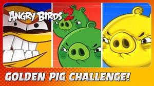 A Brand New Challenge! 🤩 The Golden Pig Challenge is here! This game mode will put your true bird-flinging skills to the test - you only get one bird per room! Make sure to pop all the pigs and the Golden Pig for another card. Strikes only are needed to succeed! 💪 | Angry Birds 2