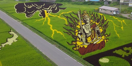 Japan's 'rice paddy art' blends modern technology and ancient crops to make living artwork