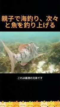 父と息子の海釣り、魚に次ぐ魚、楽しすぎる #アウトドアフィッシング #釣り #アウトドア #ハタハタ