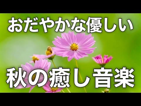 Soothing Sounds for Inner Peace: A Gentle Soundtrack to Calm Anxiety and Relieve Stress