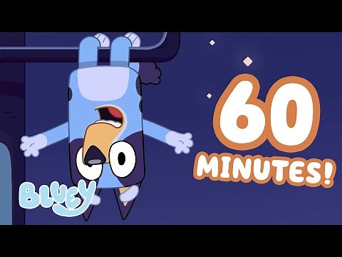 🔴 LIVE: Animal Moments With Bluey and Bingo 🐾 💙 | 60 Minutes of Funny Adventures 😂 | Bluey