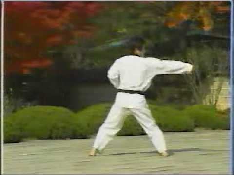 13. Taekwondo Poomsae Sipjin (WTF)
