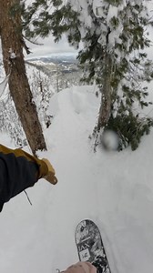 Good times with the boys yesterday keeping it easy in the treezy. 🌴 SIMS Snowboards #snowboard #sims | John Jackson
